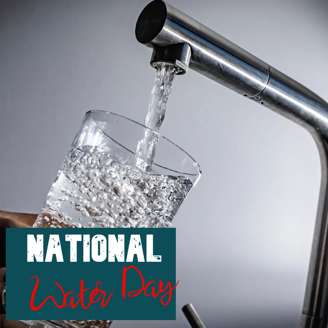 National Water Day