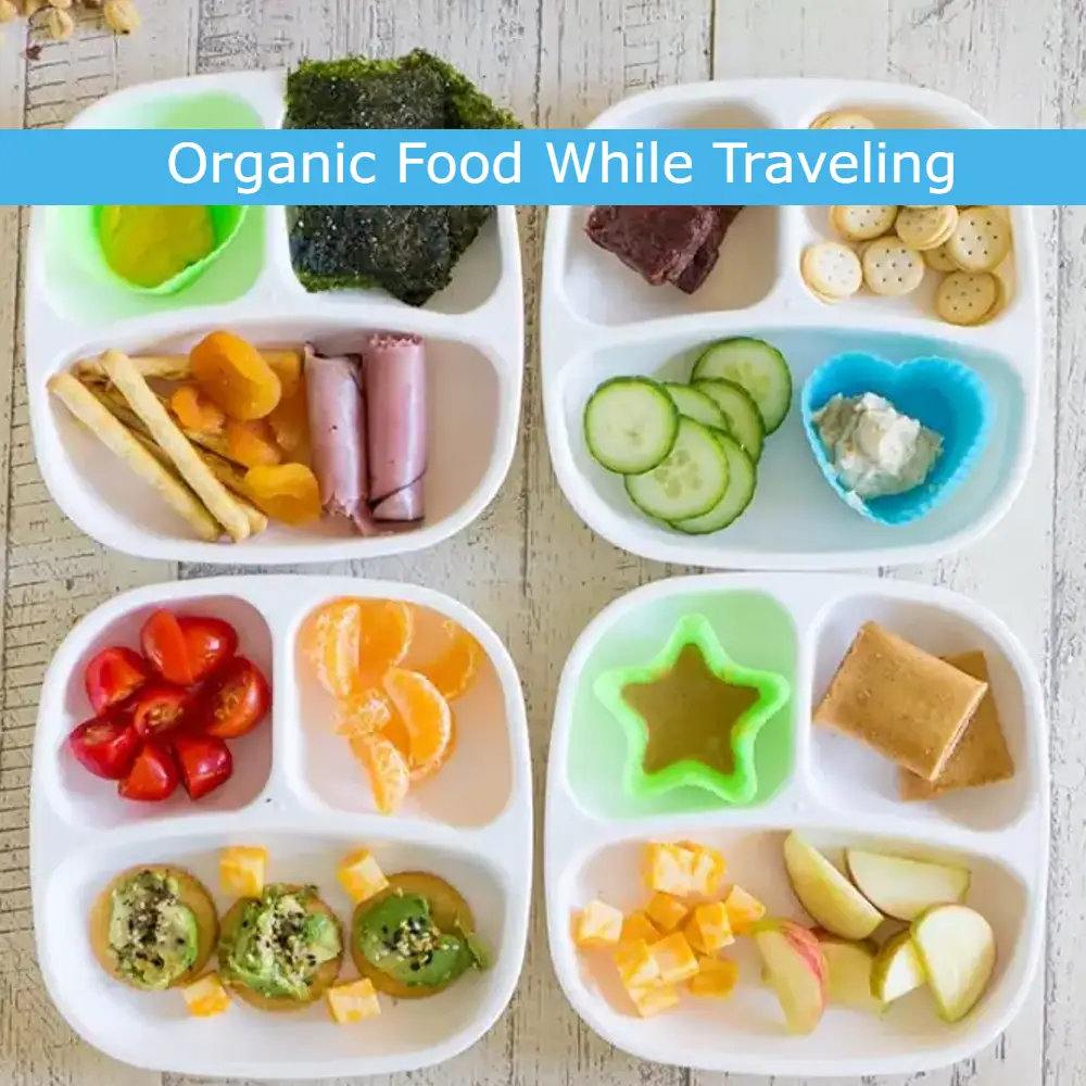 Tips To Eat Organic Food While Traveling