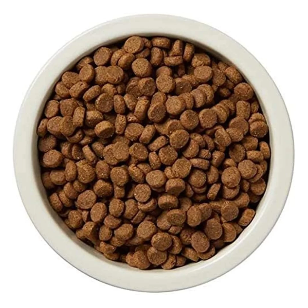 Wag Wholesome Grains Dry Dog Food Amazon Brand
