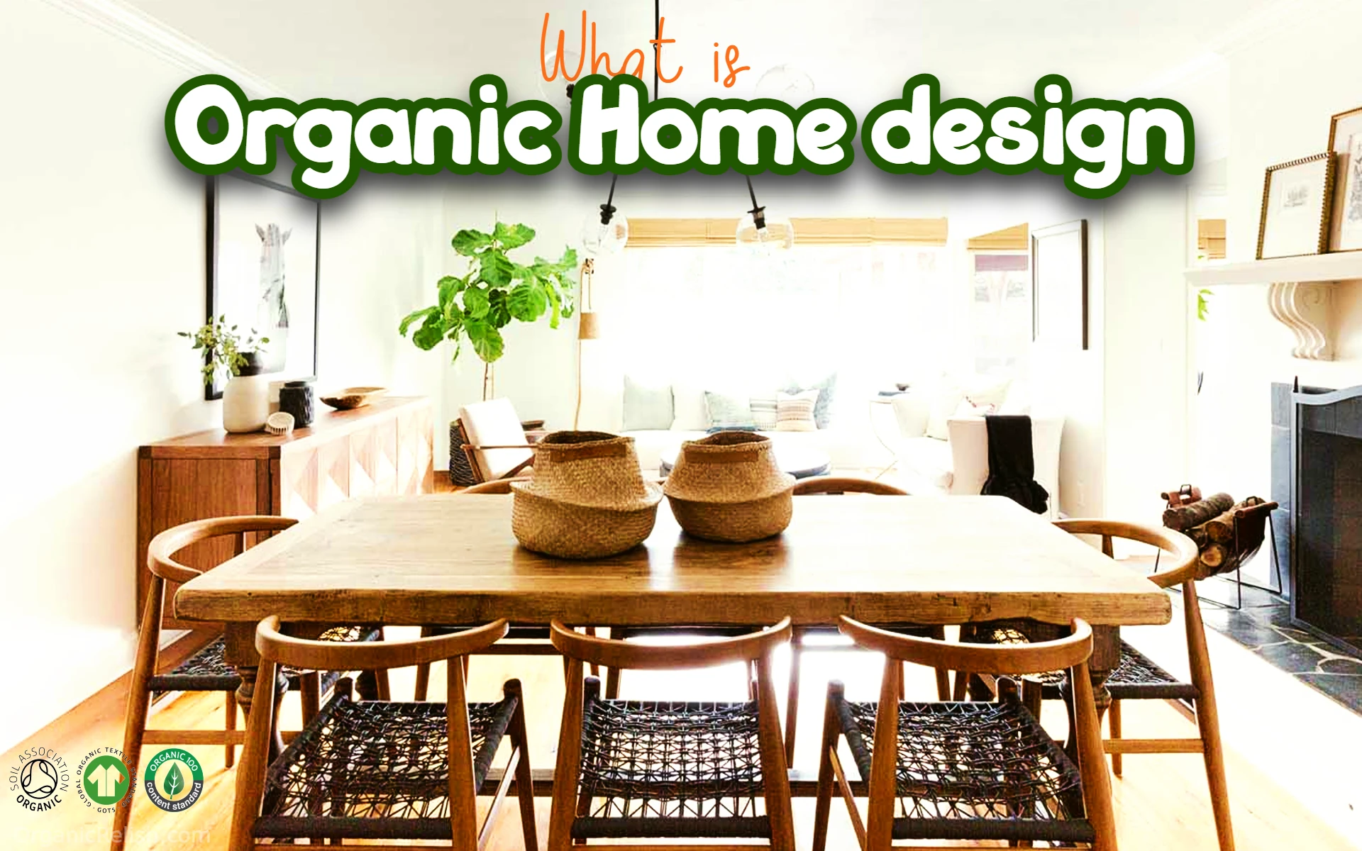 Benefits of of Organic Home Design