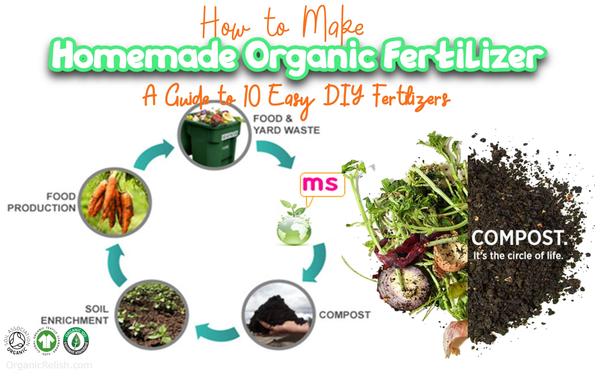 Best 10 Easy Homemade Organic Fertilizers