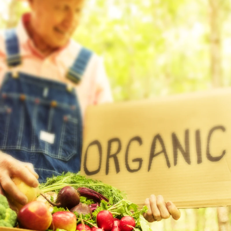 Components of Organic Gardening