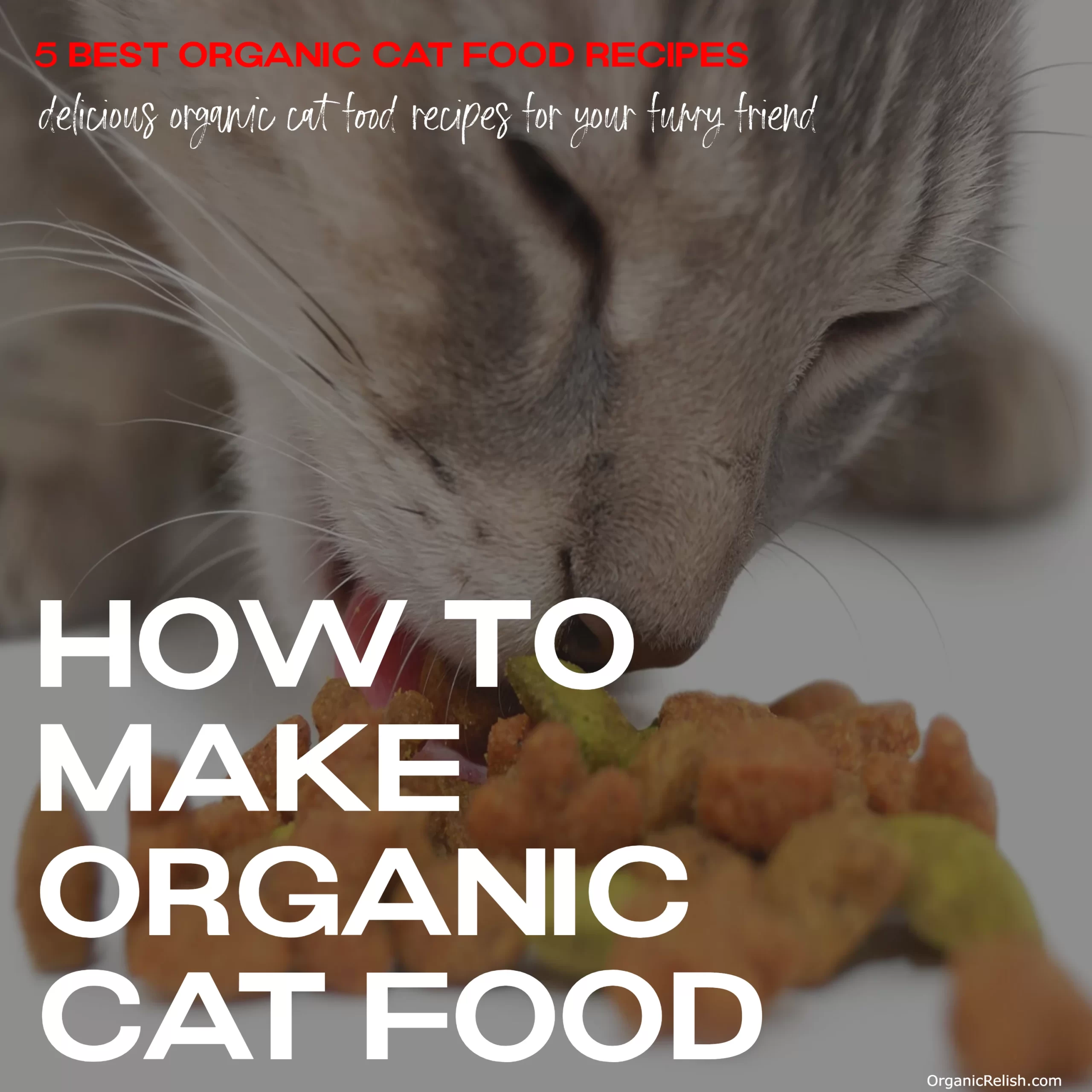 How To Make Organic Cat Food