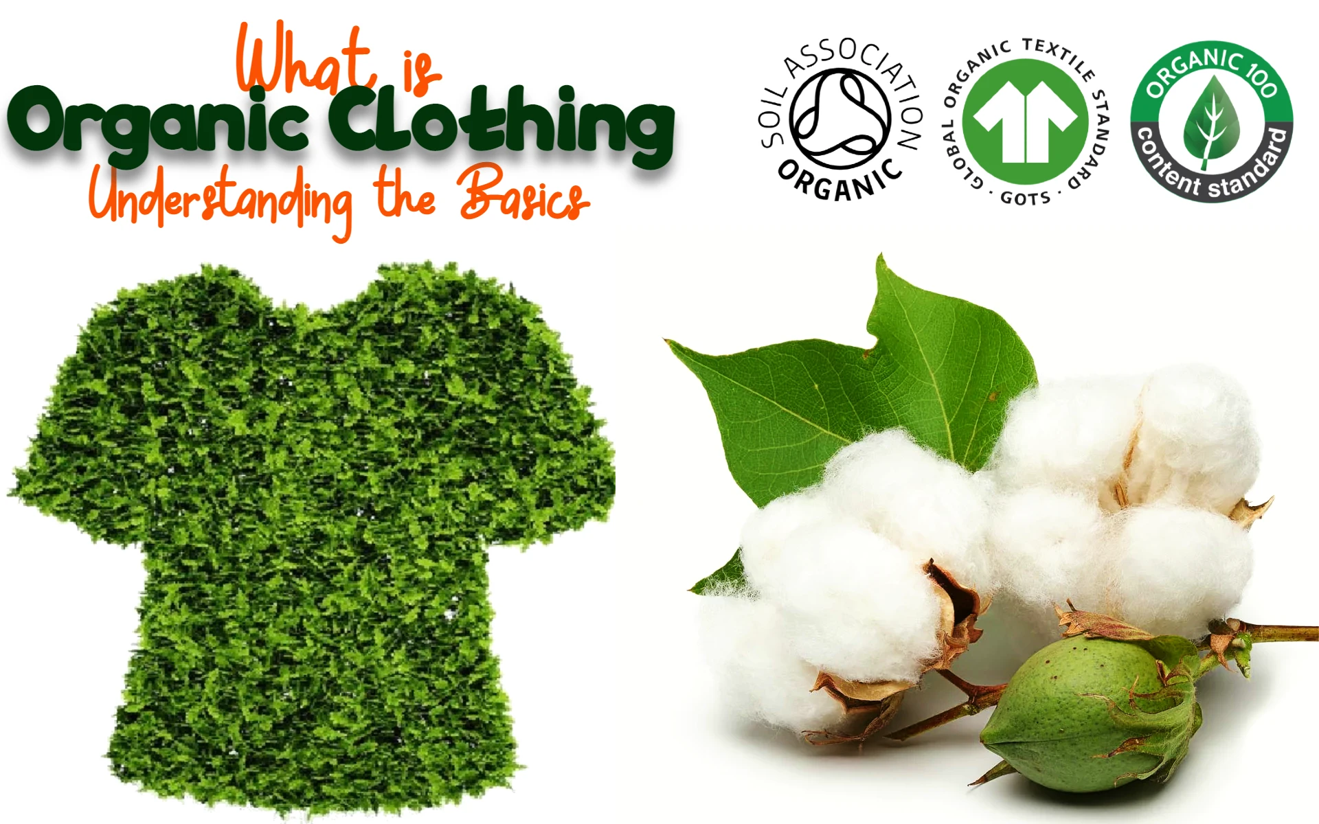Organic Clothing Meaning