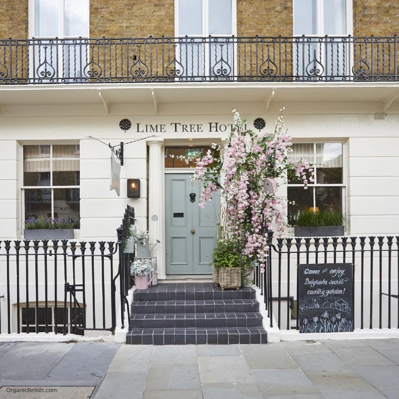 The Lime Tree Hotel as Eco Friendly Hotels in London