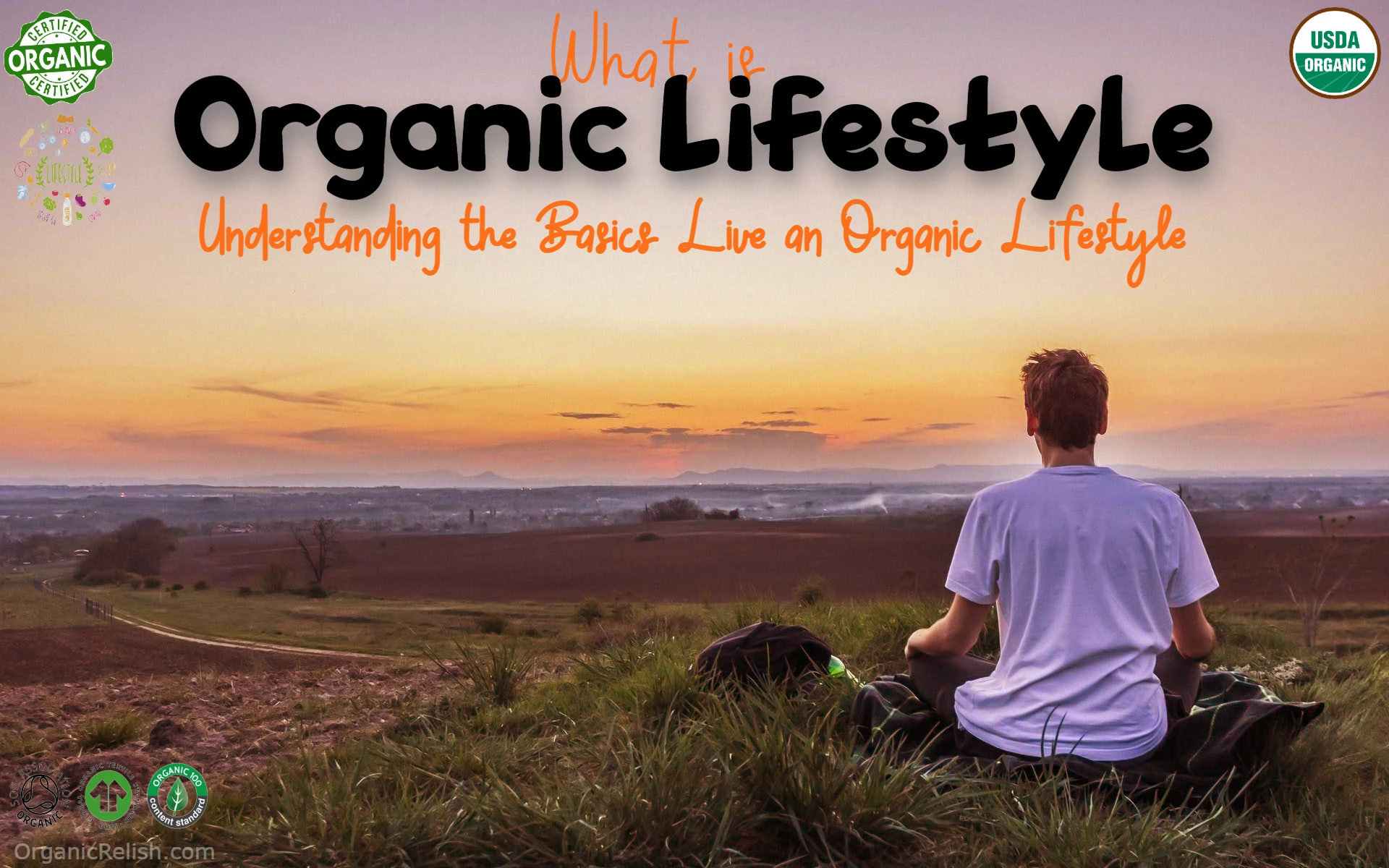Understanding the Basics Live an Organic Lifestyle