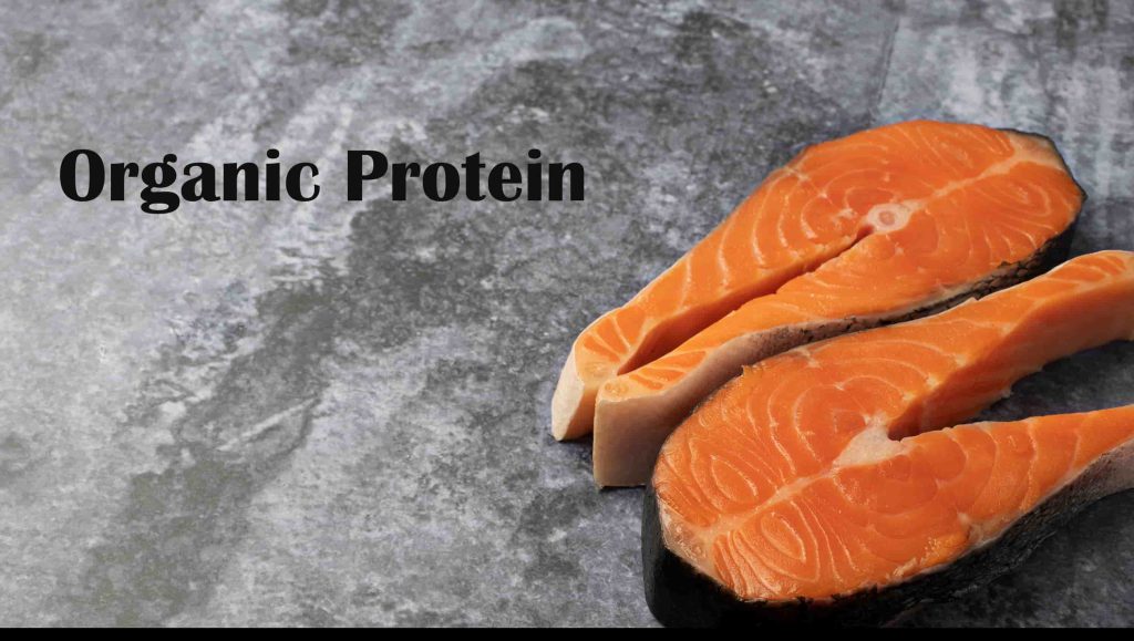 Organic Protein for athletic