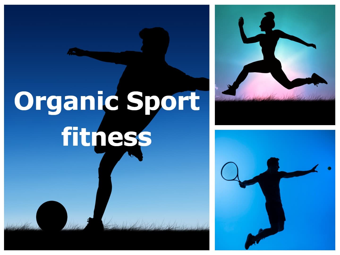 Organic Sport fitness