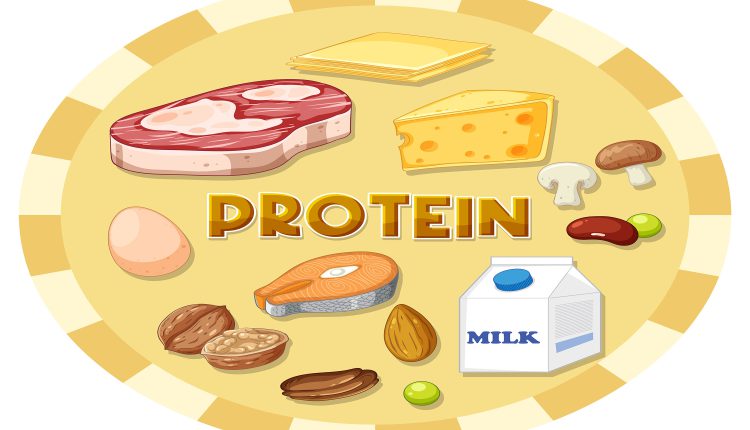 Sources of Organic Protein