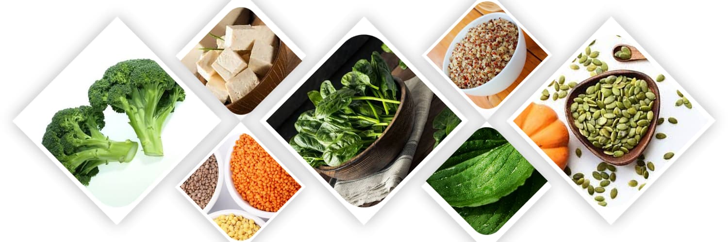 Best Sources of Organic Iron