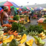 Organic Foods and Fruits in Dominica